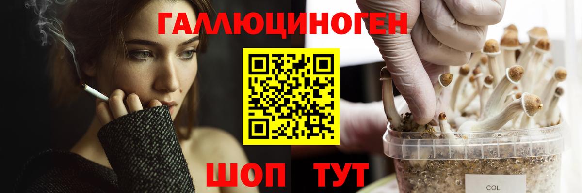Губкинский  Псилоцибиновые грибы Psilocybine cubensis  Псилоцибиновые грибы MAGIC MUSHROOMS  Вход с VPN 
