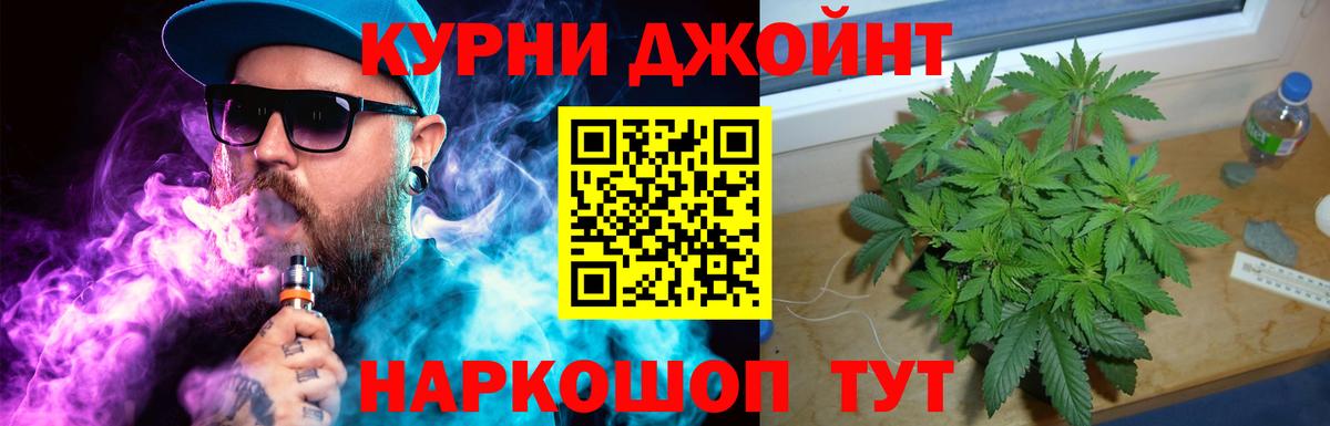 Бошки Шишки MAZAR Губкинский